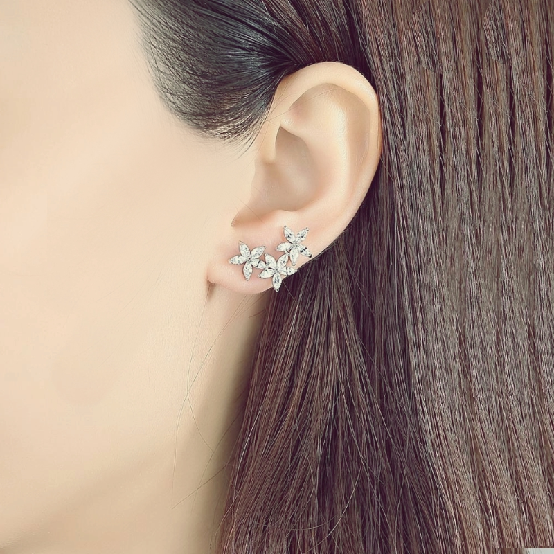 Stella crystal earrings